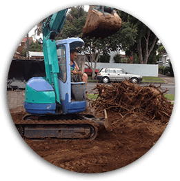 Auckland Arborist A1 Sure Services