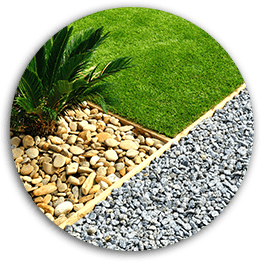 Auckland Arborist A1 Sure Services