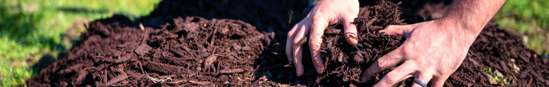 Arborist mulch